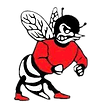 Union County High School Football